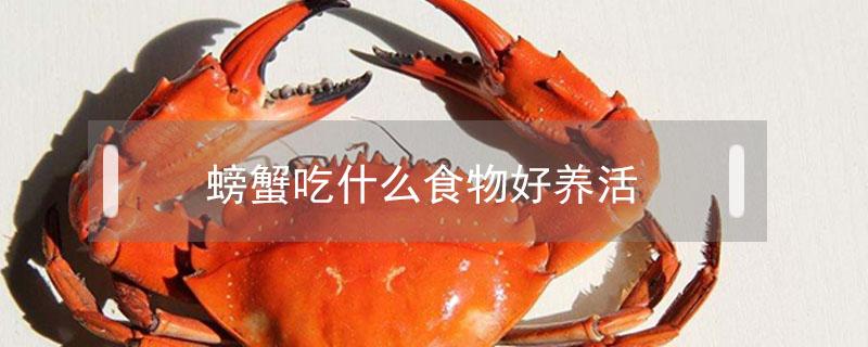 螃蟹吃什么食物好养活 淡水小螃蟹吃什么食物好养活