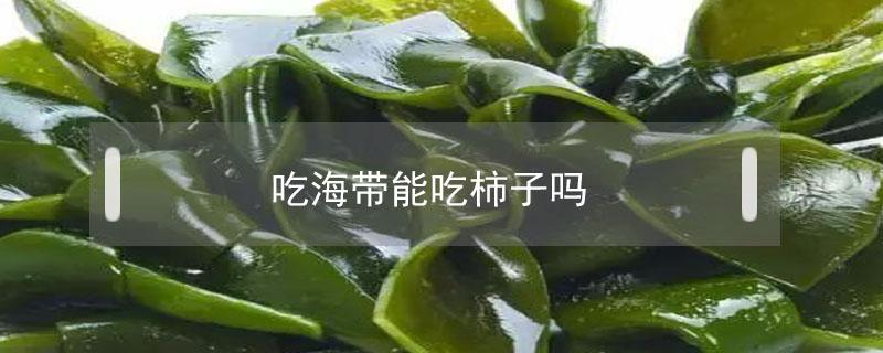 吃海带能吃柿子吗 吃海带可以吃柿子吗?