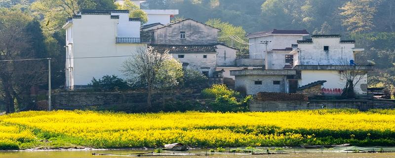 清明节为什么要踏青 清明节为什么要踏青郊游