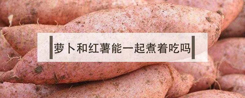 萝卜和红薯能一起煮着吃吗（红萝卜能和红薯一起煮吗?）