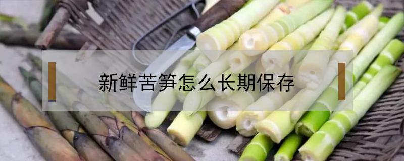 新鲜苦笋怎么长期保存（苦笋怎么保鲜最长时间）