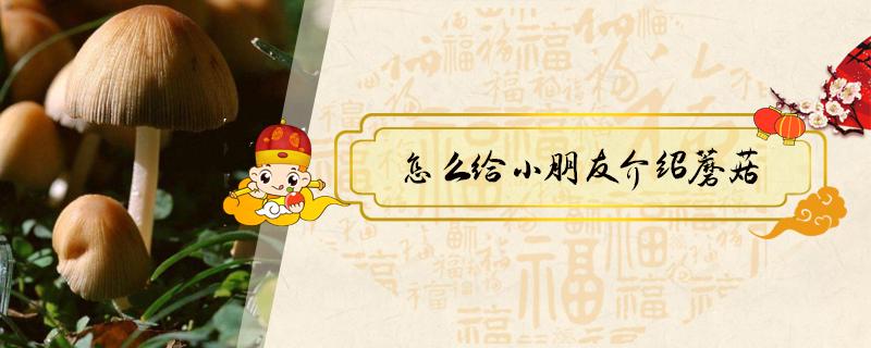 怎么给小朋友介绍蘑菇(怎么教小朋友认识蘑菇)