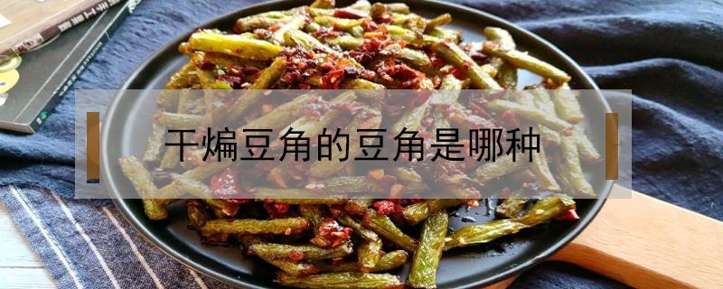 干煸豆角的豆角是哪种 干煸豆角用的是哪种豆角