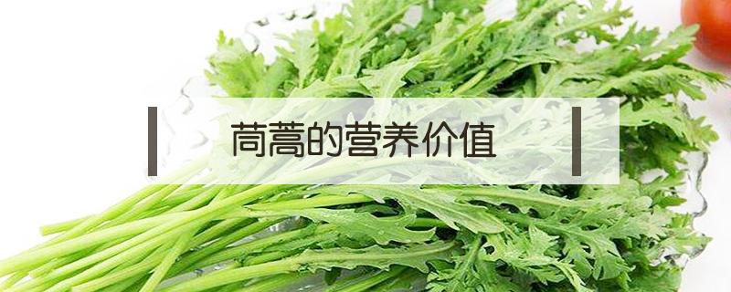 茼蒿的营养价值（茼蒿的营养价值与食用功效）