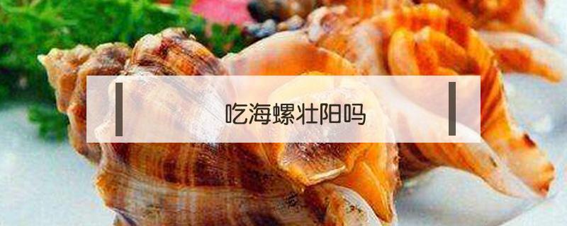 吃海螺壮阳吗(吃海螺能补肾吗)