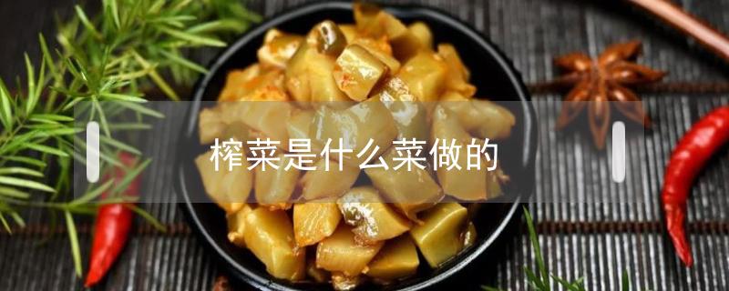 榨菜是什么菜做的 乌江榨菜是什么菜做的