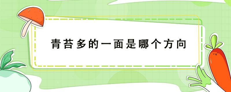 青苔多的一面是哪个方向 青苔多的一面是哪一面