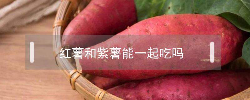 红薯和紫薯能一起吃吗（红薯能与紫薯一起吃吗）