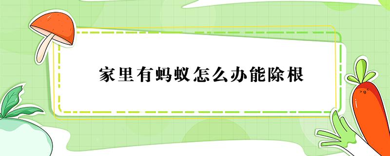 家里有蚂蚁怎么办能除根(一楼家里有蚂蚁怎么办能除根)