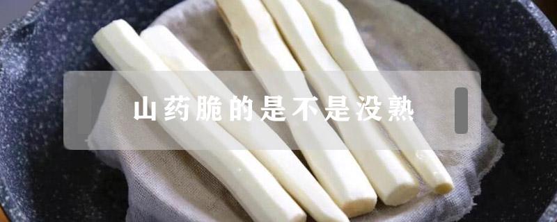 山药脆的是不是没熟（山药吃着脆这样熟了么）