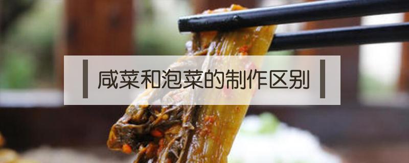 咸菜和泡菜的制作区别(泡菜是咸的吗)