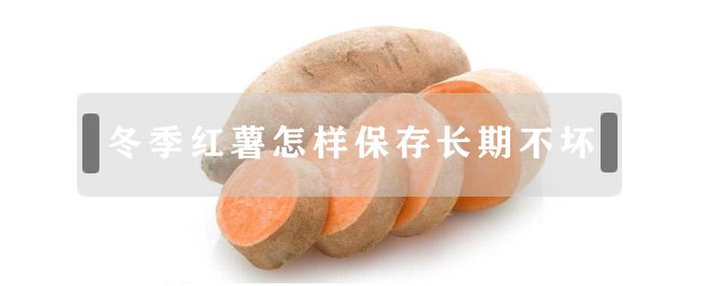 冬季红薯怎样保存长期不坏 冬季红薯怎样保存长期不坏小妙招