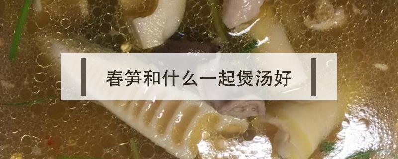 春笋和什么一起煲汤好 春笋和冬笋哪个适合煲汤