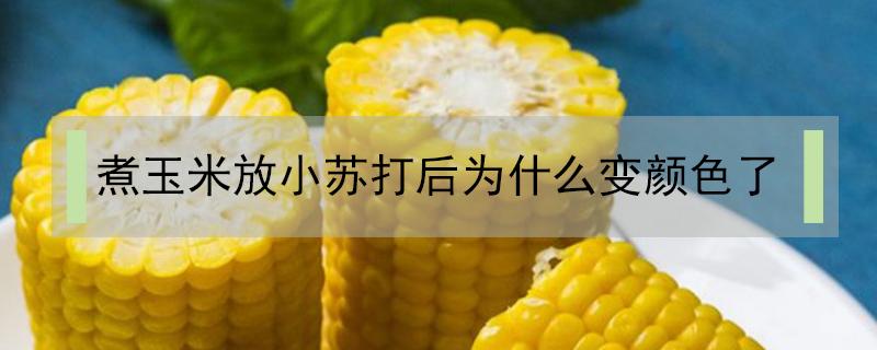 煮玉米放小苏打后为什么变颜色了 煮玉米放小苏打后为什么变颜色了呢