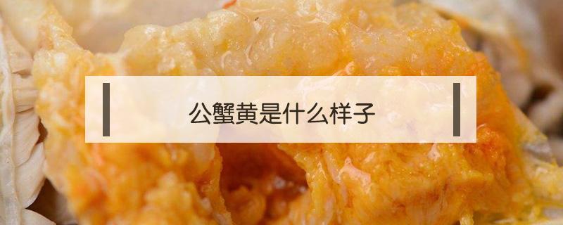 公蟹黄是什么样子 公蟹 黄色