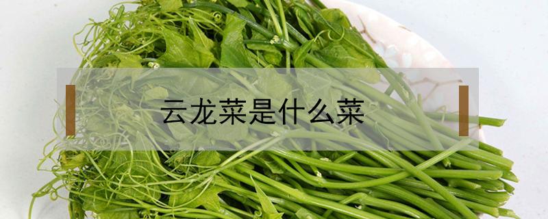 云龙菜是什么菜（云龙菜是什么菜图片）