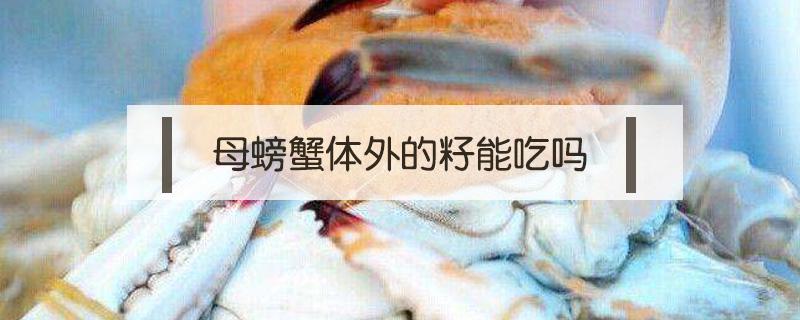 母螃蟹体外的籽能吃吗 螃蟹籽能吃么