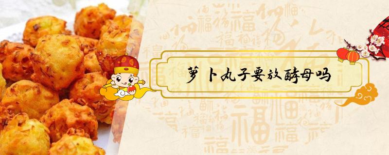 萝卜丸子要放酵母吗(炸萝卜丸子用放酵母粉吗)