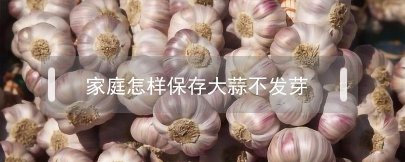 家庭怎样保存大蒜不发芽（在家如何保存大蒜不发芽）