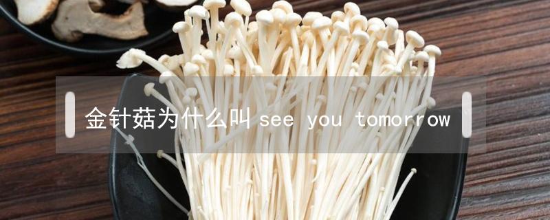 金针菇为什么叫see 金针菇为什么叫see you tomorrow