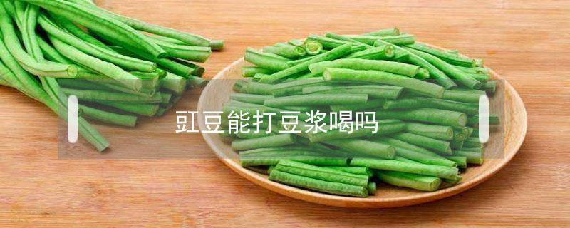豇豆能打豆浆喝吗 豇豆黄豆红豆能在一堆打豆浆吗