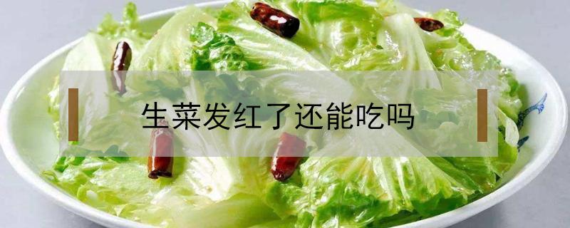 生菜发红了还能吃吗 生菜为什么放上两天就发红
