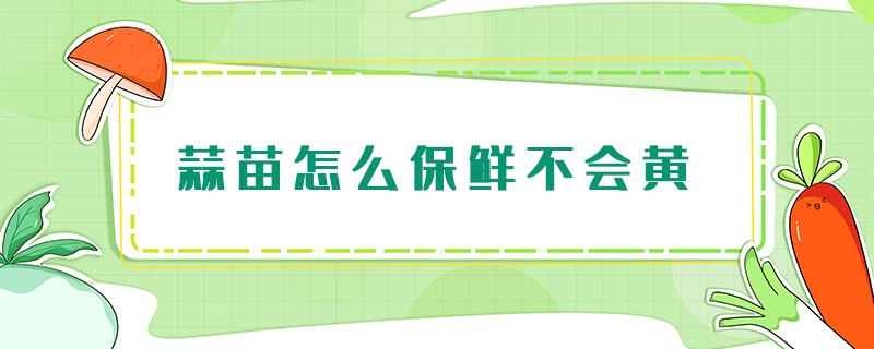 蒜苗怎么保鲜不会黄 蒜苗怎样保存才不容易叶子发黄