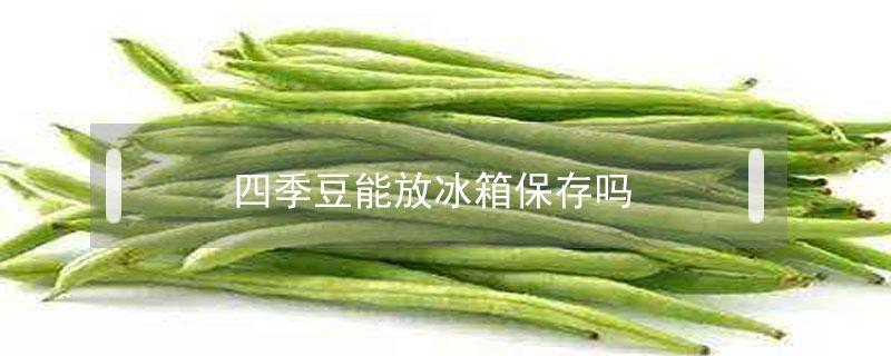 四季豆能放冰箱保存吗（四季豆能放冰箱保存多久）