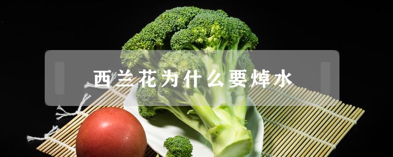 西兰花为什么要焯水（西兰花为什么要焯水再炒）