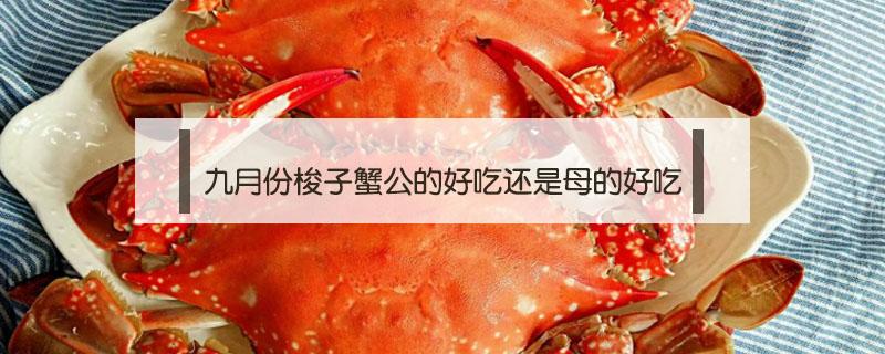 九月份梭子蟹公的好吃还是母的好吃 九月中旬梭子蟹吃公的好还是母的好