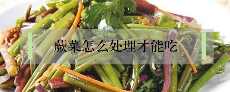 蕨菜怎么处理才能吃 野生干蕨菜怎么处理才能吃