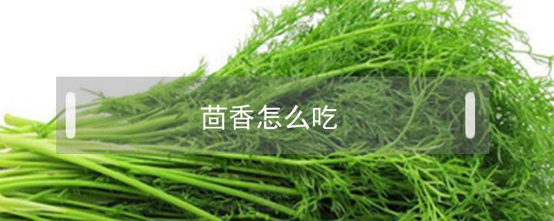 茴香怎么吃 茴香怎么吃法