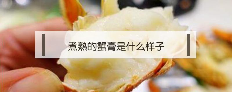 煮熟的蟹膏是什么样子 蟹膏煮熟后是什么样子