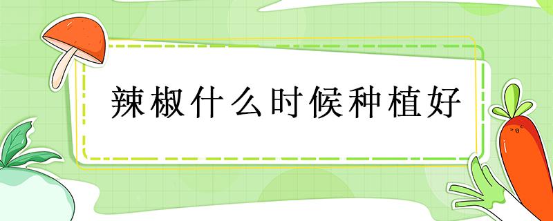 辣椒什么时候种植好 辣椒一般什么时候种植