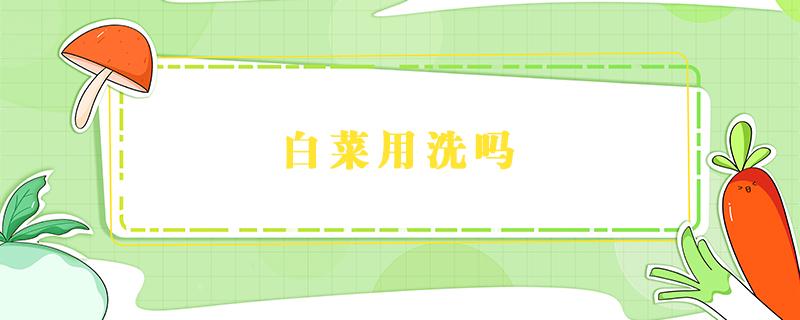 白菜用洗吗 白菜吃的时候用洗吗