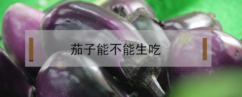 茄子能不能生吃?（茄子到底能不能生吃）