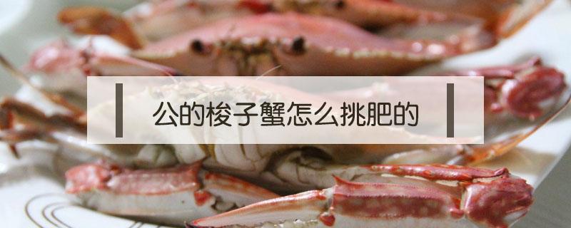 公的梭子蟹怎么挑肥的 梭子蟹怎么看肥