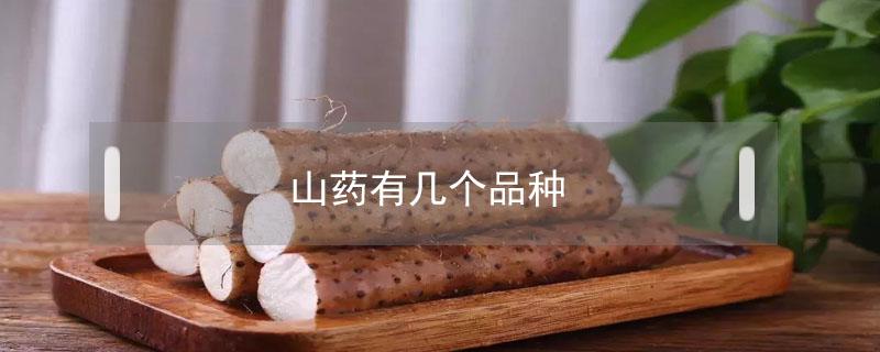 山药有几个品种(山药有几个品种?功能是一样吗?)