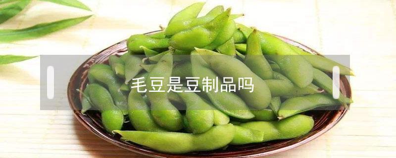 毛豆是豆制品吗 毛豆是豆制品类吗