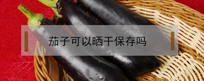 茄子可以晒干保存吗（茄子能不能晒干）