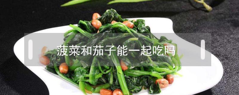 菠菜和茄子能一起吃吗 茄子与菠菜能一起吃吗