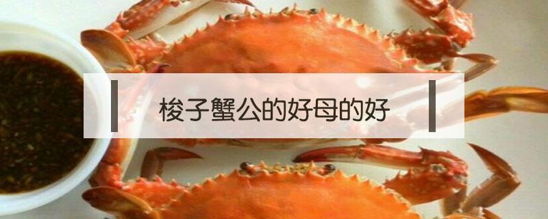 梭子蟹公的好母的好（梭子蟹公的好母的好?）