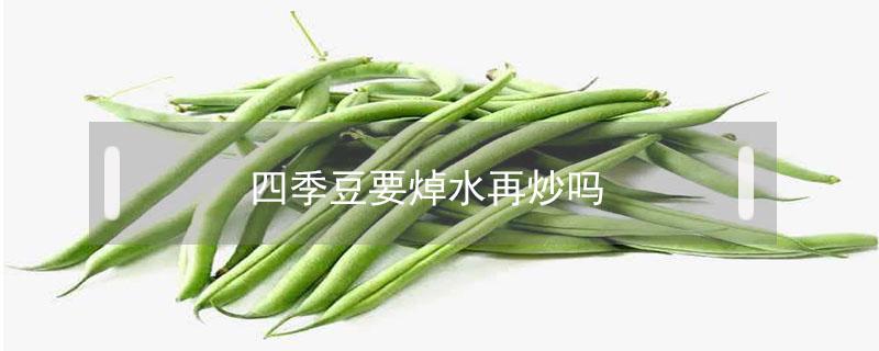 四季豆要焯水再炒吗（四季豆要焯水再炒吗?知乎）