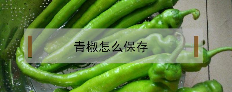 青椒怎么保存（新鲜的青椒怎么保存）