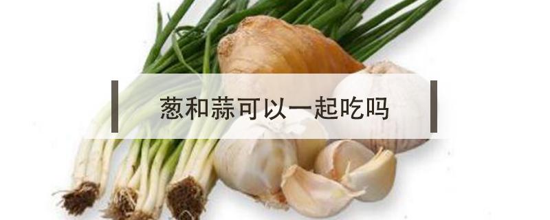 葱和蒜可以一起吃吗 葱和蒜一起吃好吗