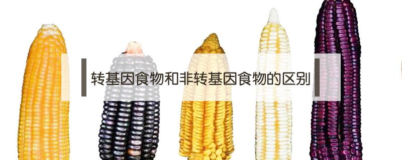 转基因食物和非转基因食物的区别（转基因食物和非转基因食物的区别是什么）