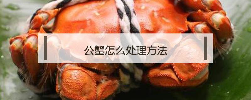 公蟹怎么处理方法（公蟹怎么处理）