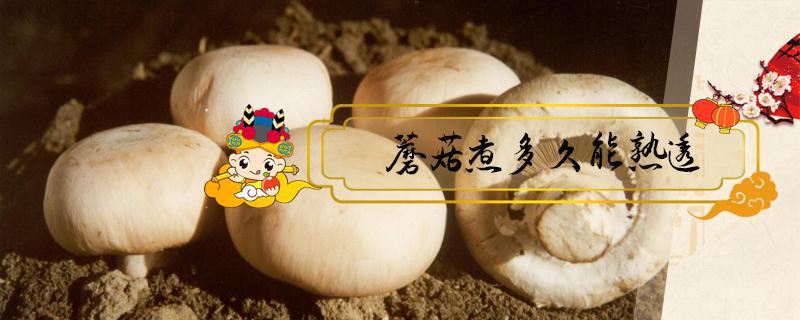 蘑菇煮多久能熟透（蘑菇一般煮多久能熟）