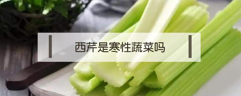 西芹是寒性蔬菜吗 西芹是凉性还是热性蔬菜