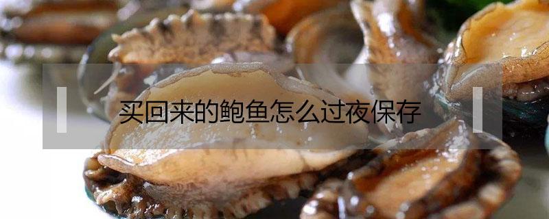 买回来的鲍鱼怎么过夜保存 鲍鱼买回家可以保存几天